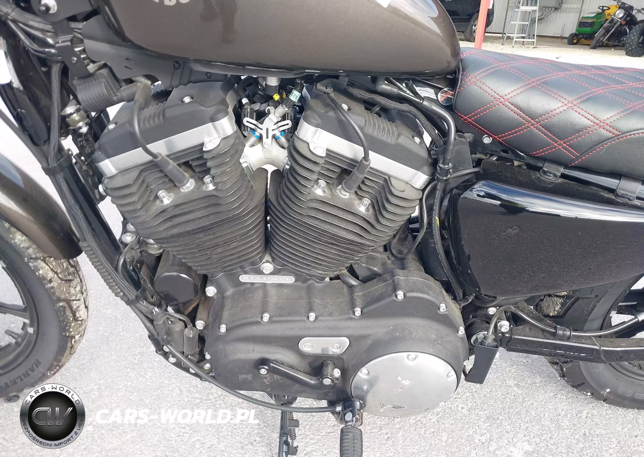 2020 Harley-Davidson Xl883 N VIN:1HD4LE215LB429492 - 9