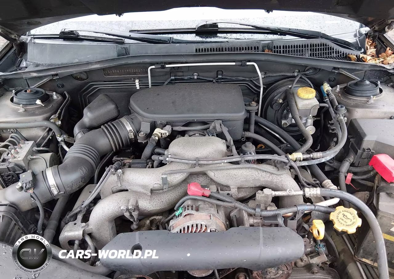 2009 Subaru Outback 2.5I VIN:4S4BP61C397325273 - 6