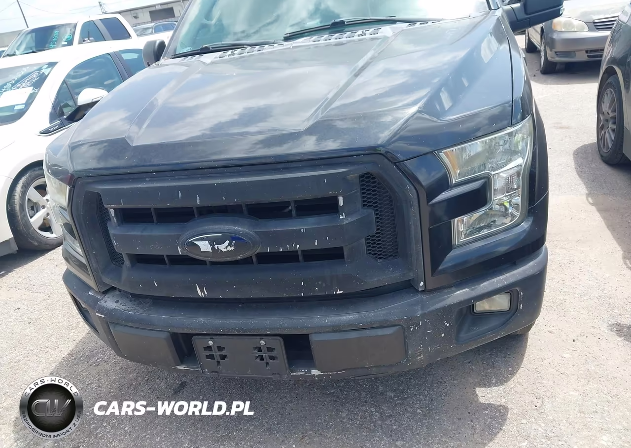 2015 Ford F-150 Xlt VIN:1FTEW1CP3FKD01541 - 12