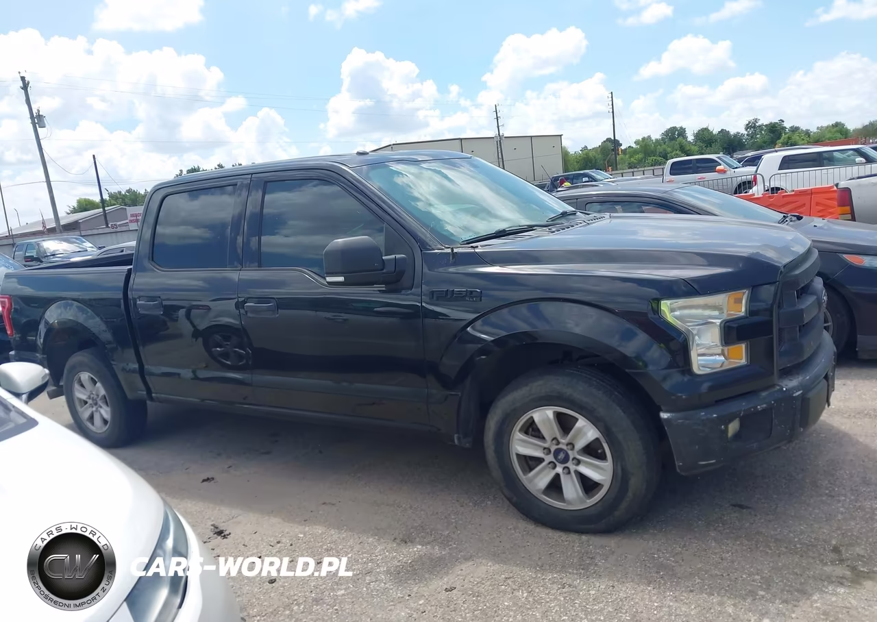 2015 Ford F-150 Xlt VIN:1FTEW1CP3FKD01541 - 13