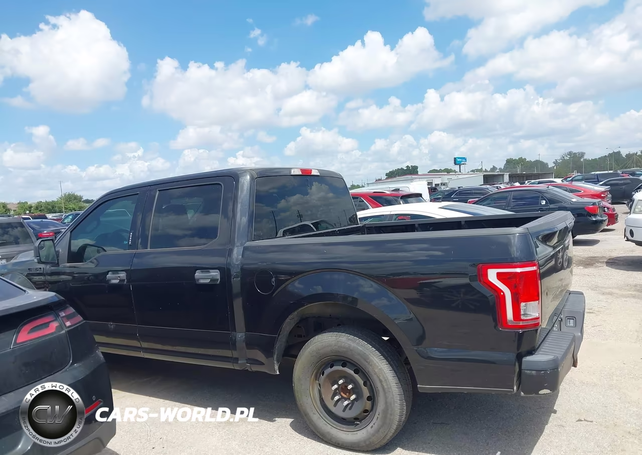 2015 Ford F-150 Xlt VIN:1FTEW1CP3FKD01541 - 14