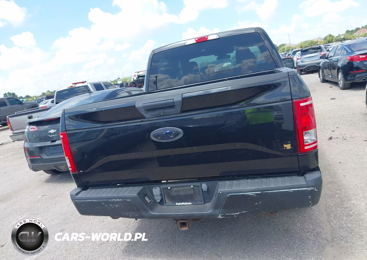 2015 Ford F-150 Xlt VIN:1FTEW1CP3FKD01541 - 16