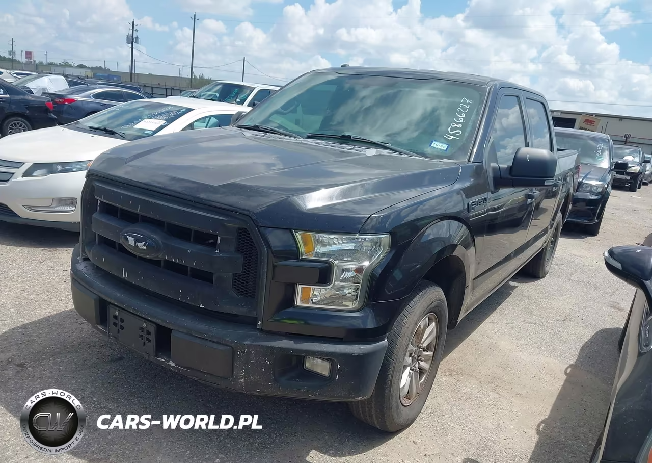 2015 Ford F-150 Xlt VIN:1FTEW1CP3FKD01541 - 2
