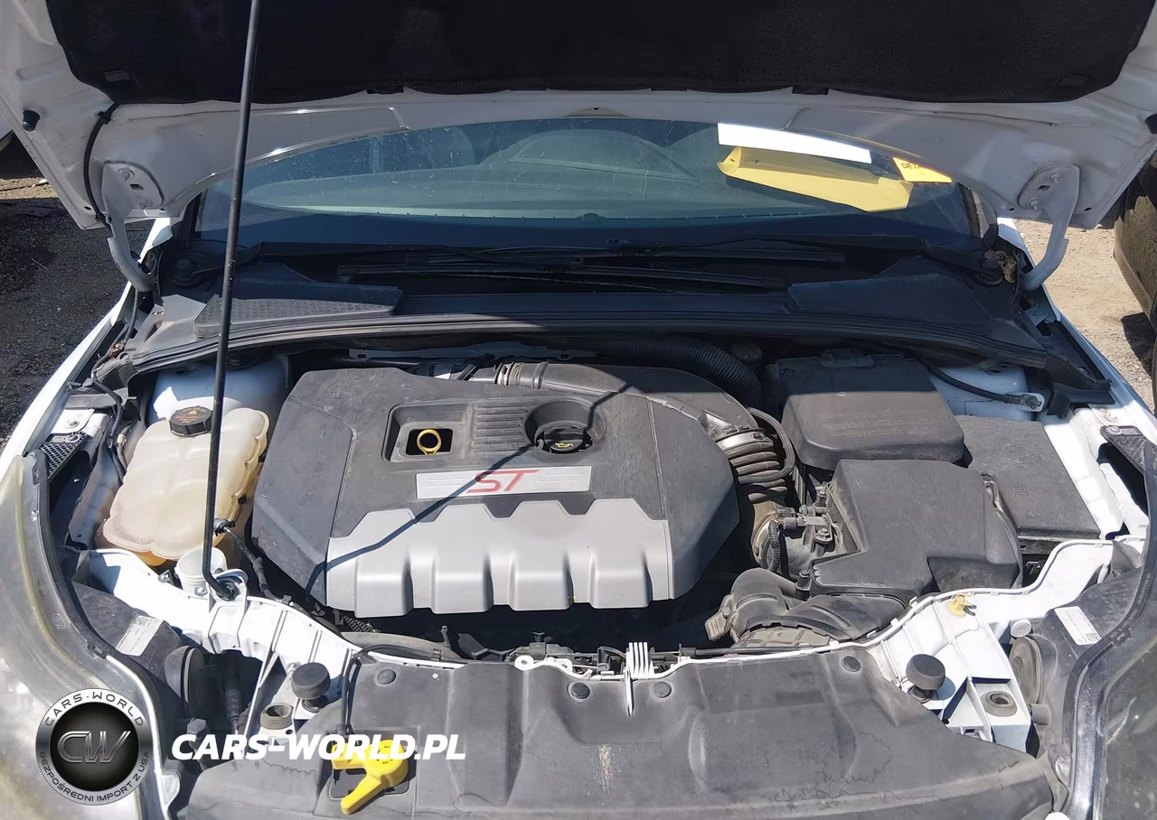 2014 Ford Focus St VIN:1FADP3L92EL340660 - 10