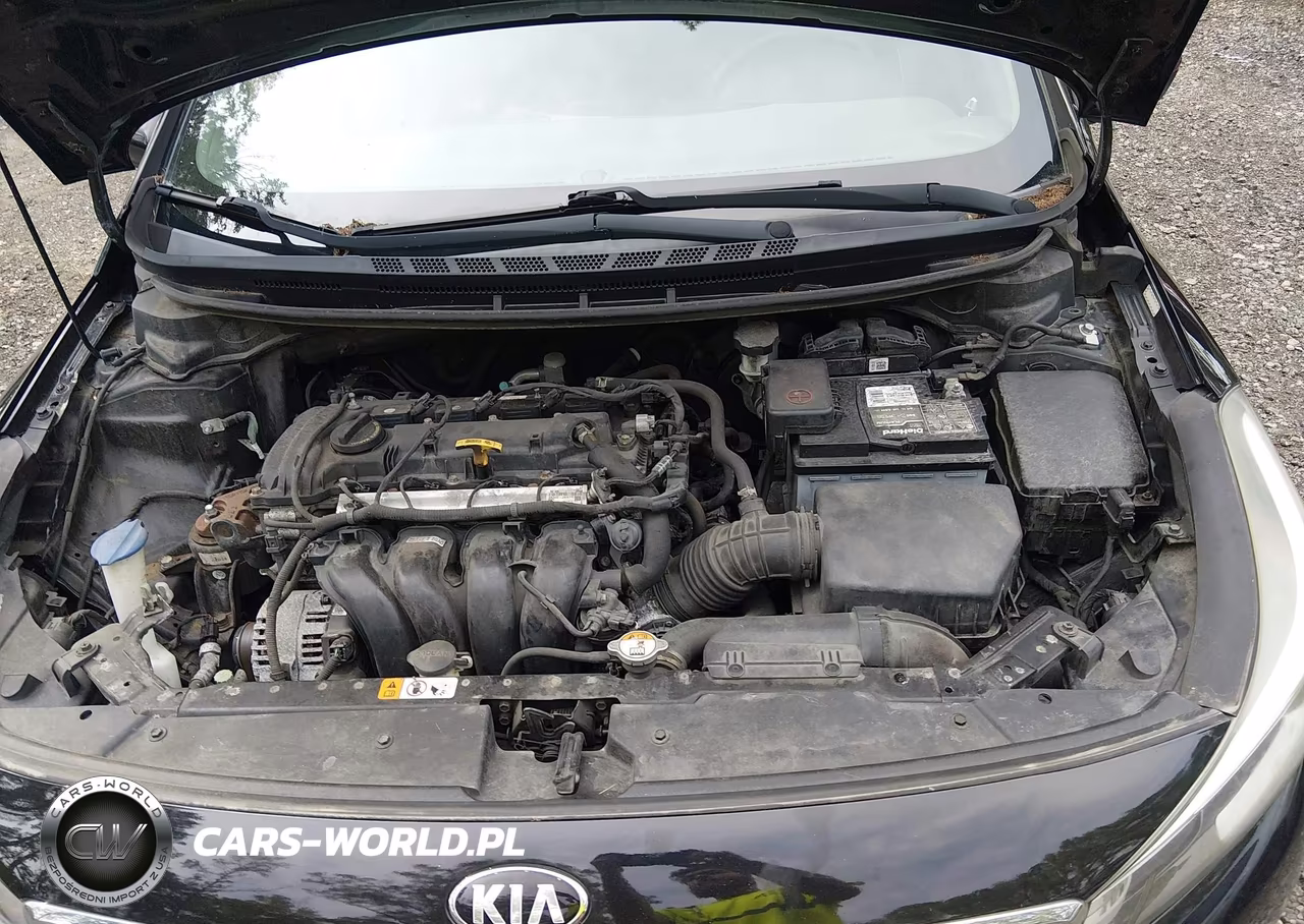 2017 Kia Forte Lx VIN:3KPFL4A7XHE052548 - 10