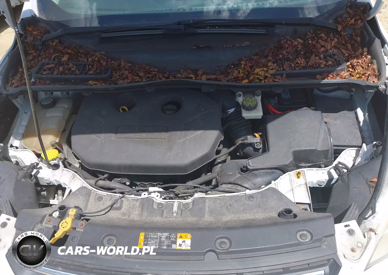 2013 Ford Escape Se VIN:1FMCU9G98DUC72932 - 10