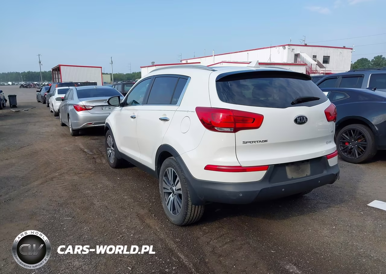 2015 Kia Sportage Ex VIN:KNDPC3AC1F7723906 - 3