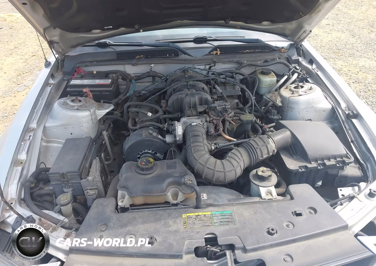2005 Ford Mustang V6 Deluxe-V6 Premium VIN:1ZVFT80N055145526 - 10