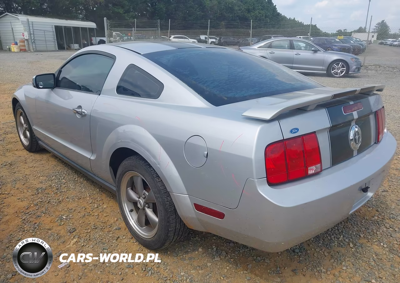 2005 Ford Mustang V6 Deluxe-V6 Premium VIN:1ZVFT80N055145526 - 3
