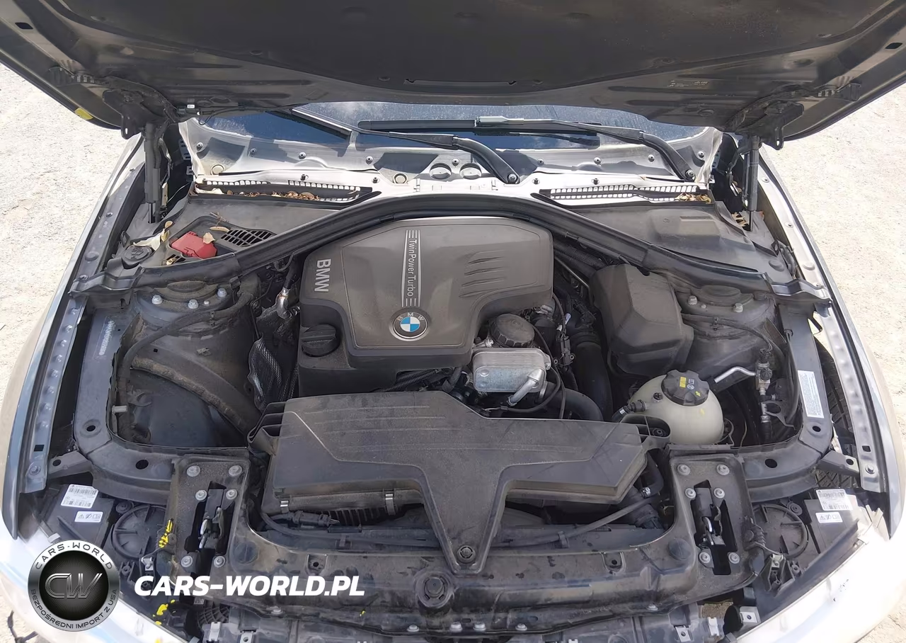 2016 BMW 428I VIN:WBA3N7C5XGK225696 - 10
