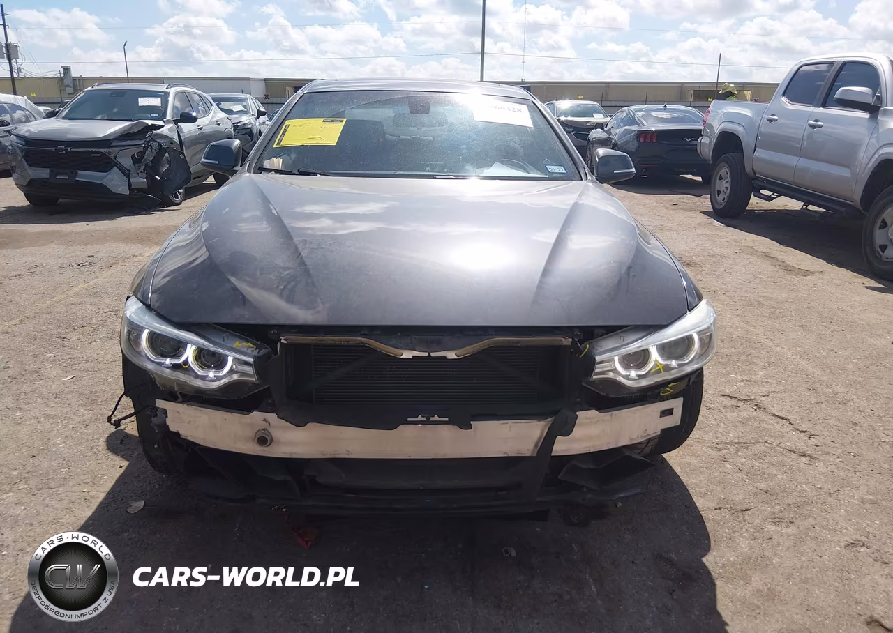 2016 BMW 428I VIN:WBA3N7C5XGK225696 - 6