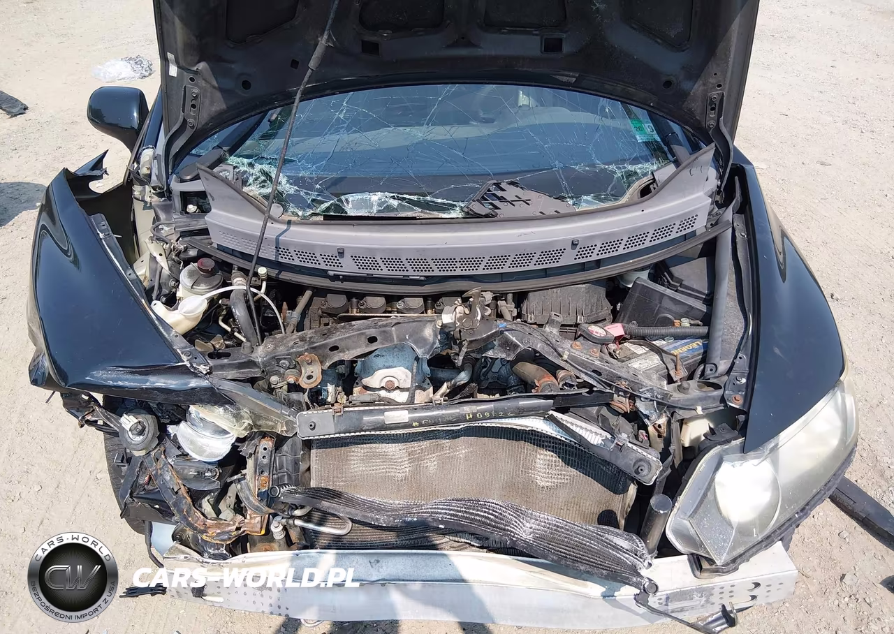 2010 Honda Civic Lx VIN:2HGFA1F53AH305183 - 10