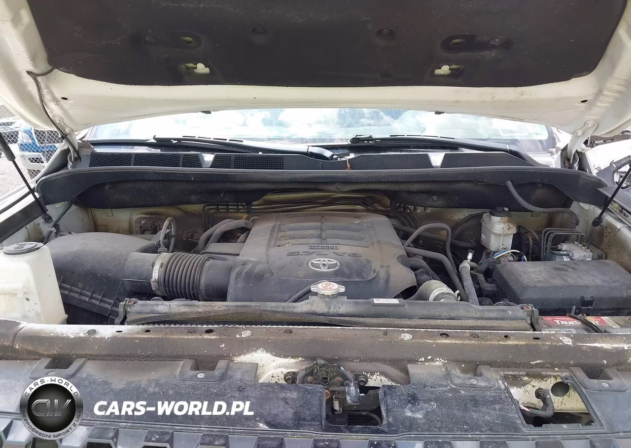 2019 Toyota Tundra Platinum 5.7L V8 VIN:5TFAY5F17KX864242 - 10