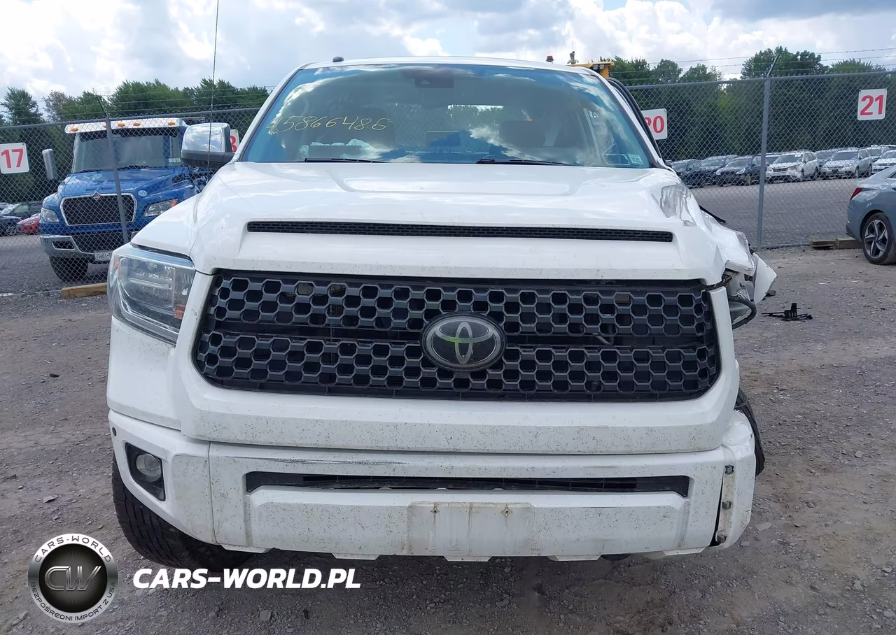 2019 Toyota Tundra Platinum 5.7L V8 VIN:5TFAY5F17KX864242 - 13