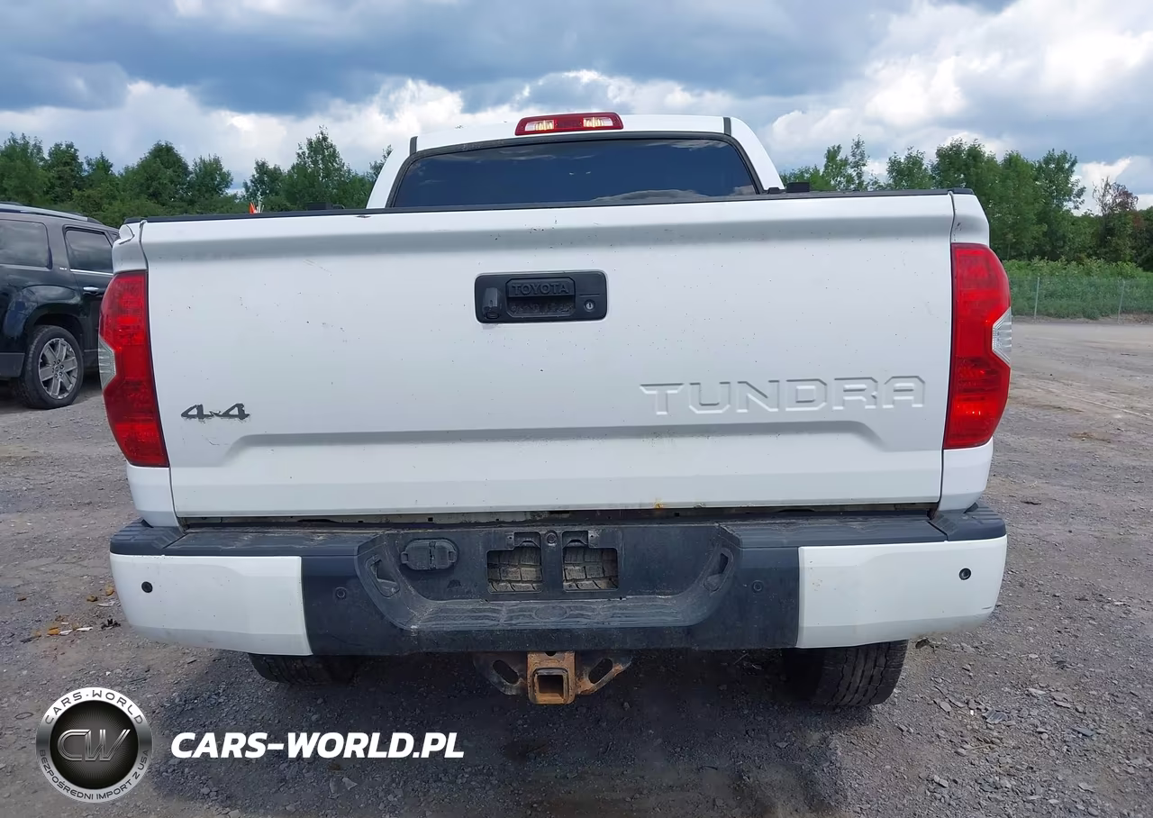 2019 Toyota Tundra Platinum 5.7L V8 VIN:5TFAY5F17KX864242 - 17