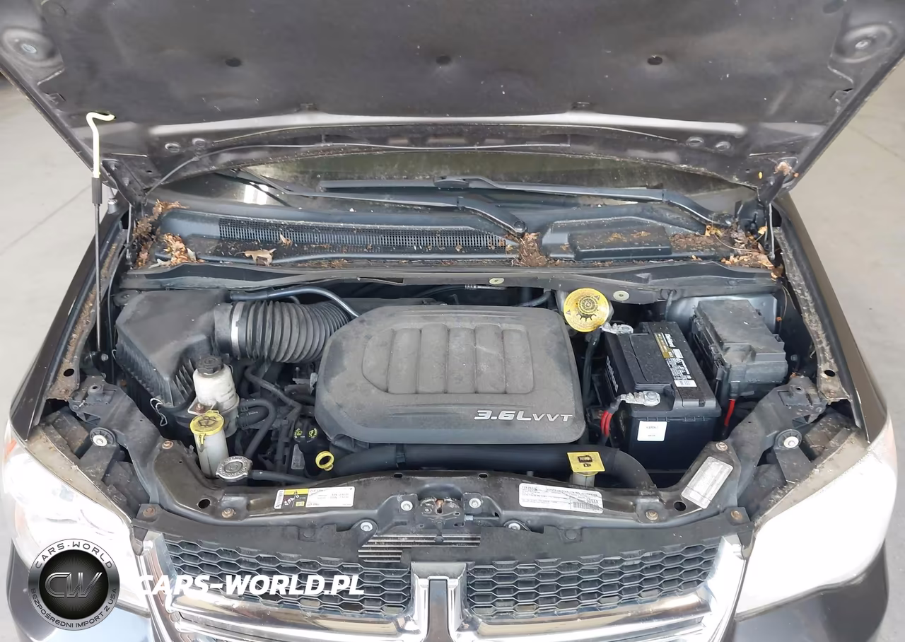 2016 Dodge Grand Caravan Se VIN:2C4RDGBG9GR284985 - 10