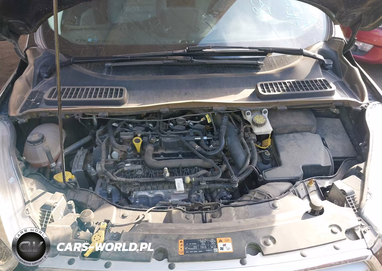 2019 Ford Escape Sel VIN:1FMCU0HD4KUB28399 - 10