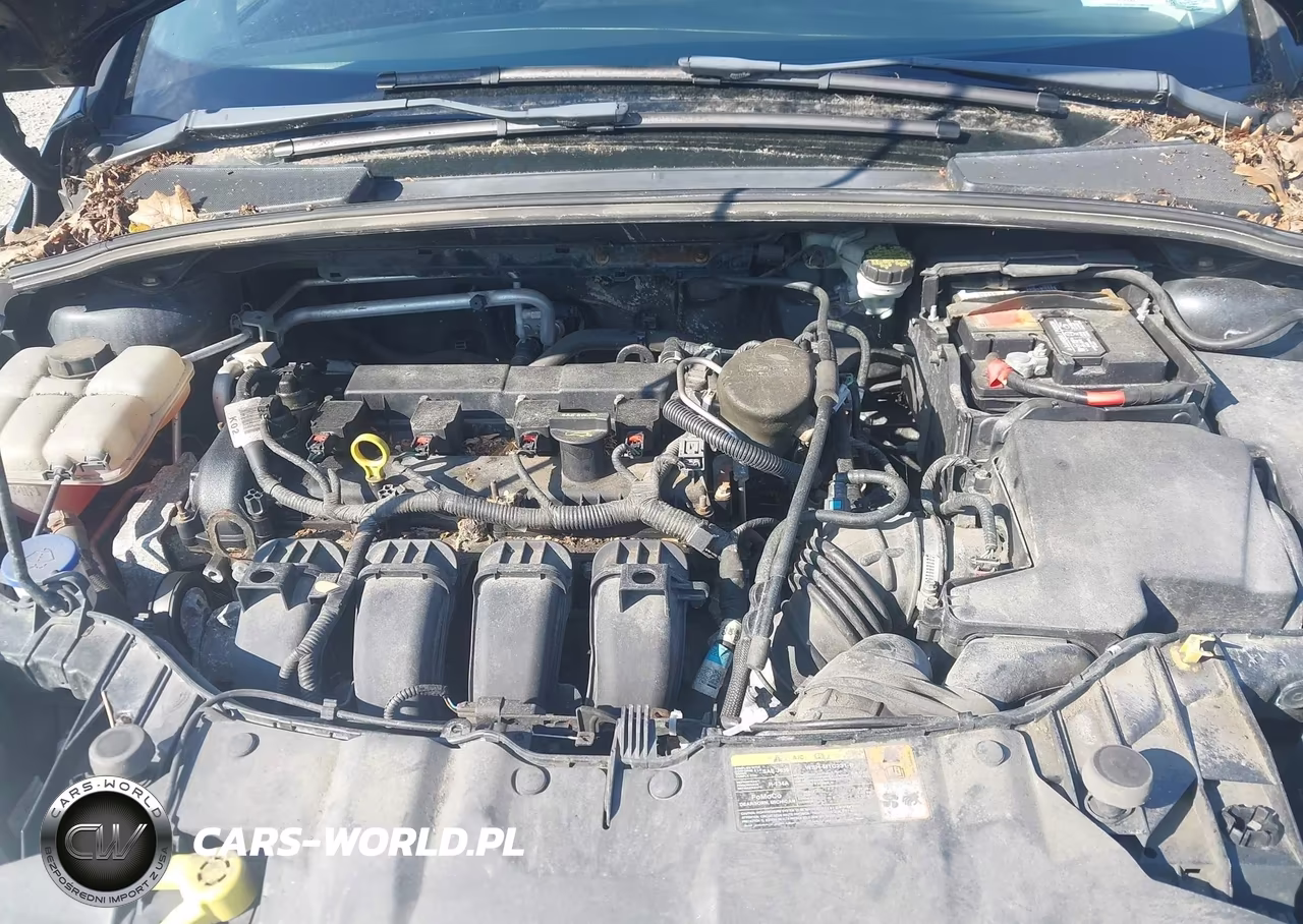 2014 Ford Focus Se VIN:1FADP3F25EL215151 - 10