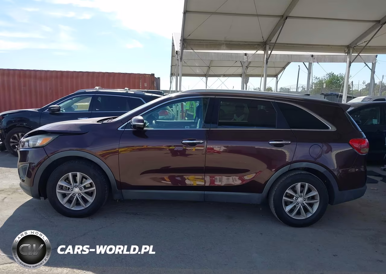 2016 Kia Sorento 3.3L Lx VIN:5XYPG4A51GG082238 - 14