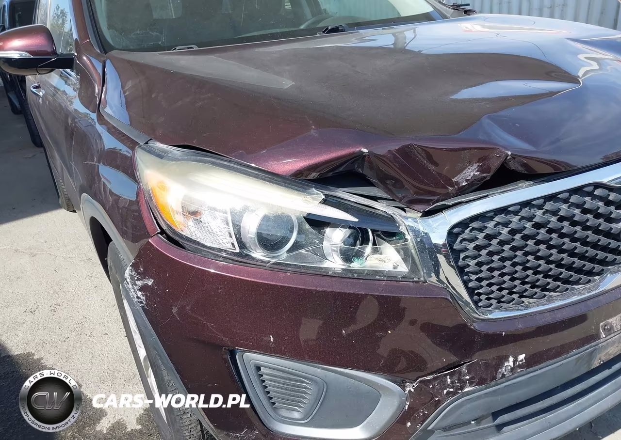 2016 Kia Sorento 3.3L Lx VIN:5XYPG4A51GG082238 - 6