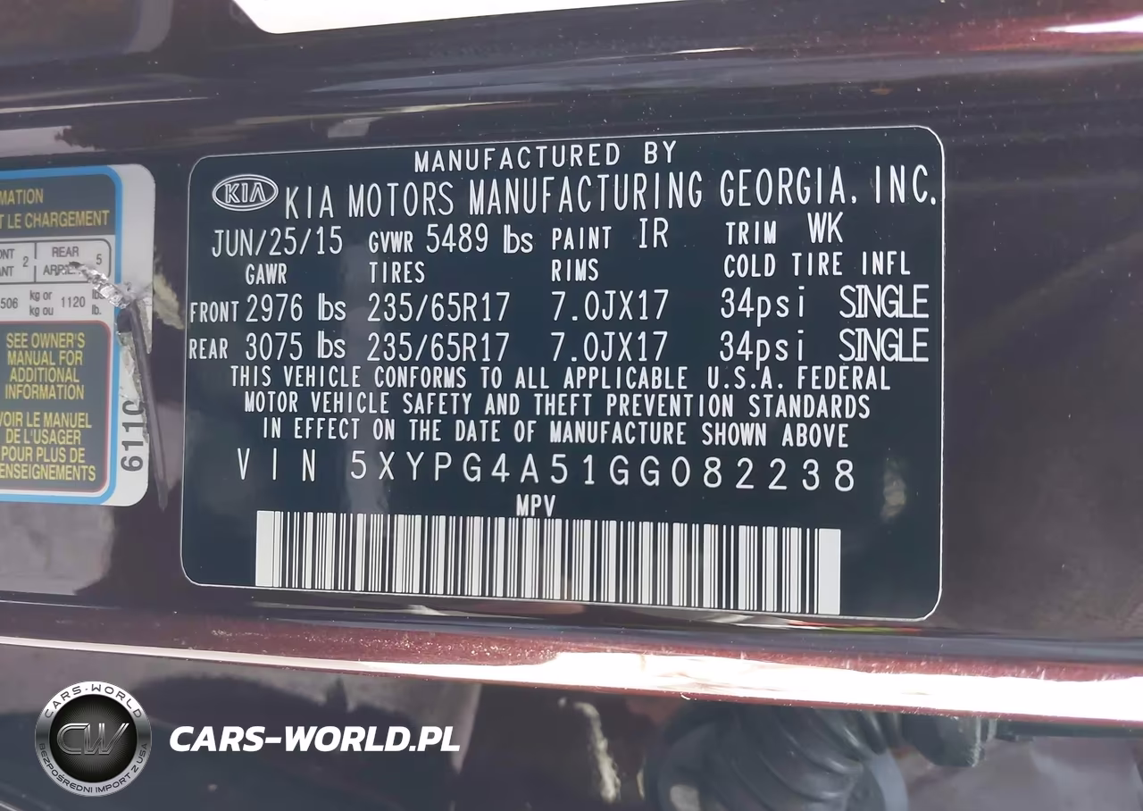 2016 Kia Sorento 3.3L Lx VIN:5XYPG4A51GG082238 - 9