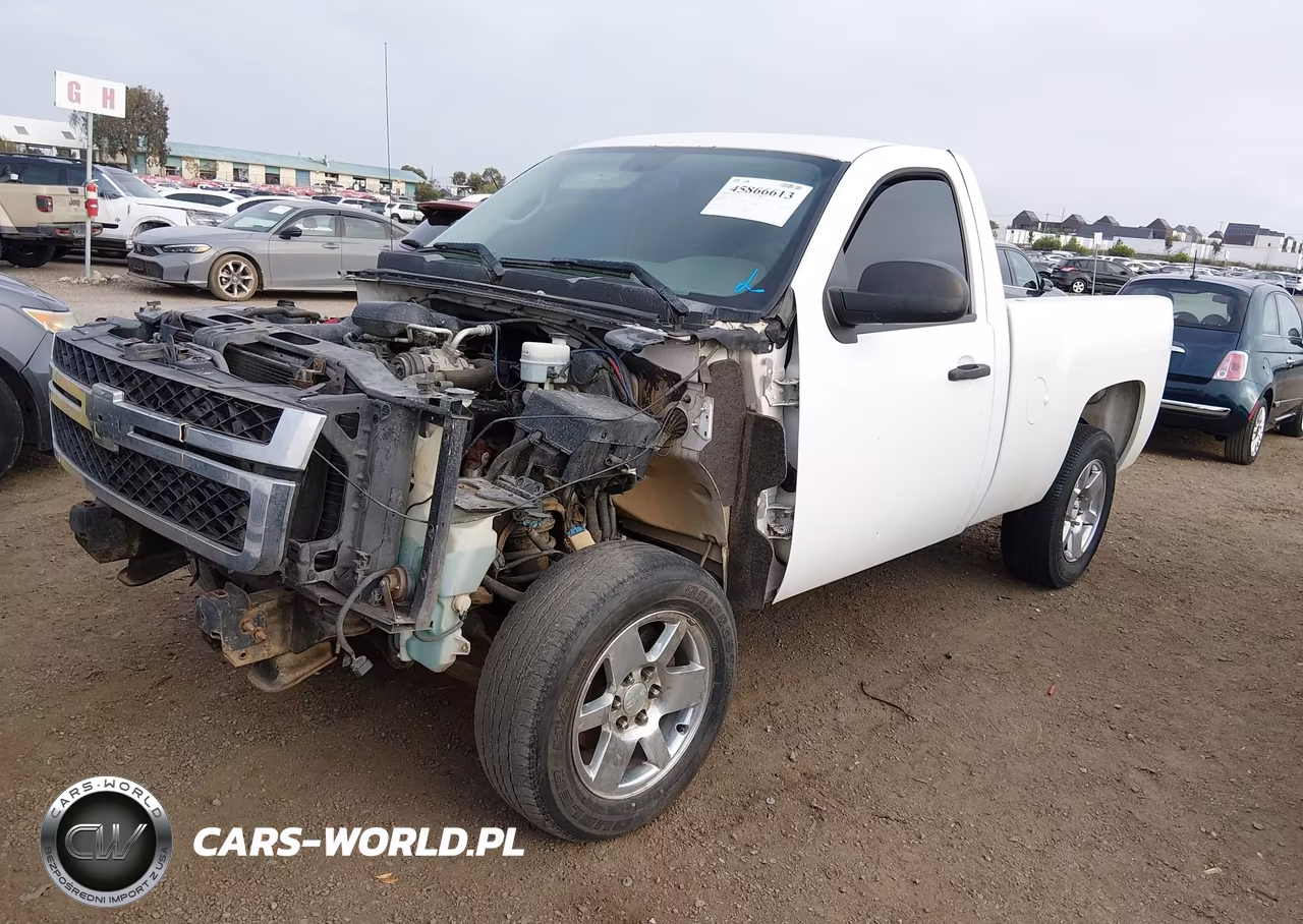 2010 Chevrolet Silverado 1500 Work Truck VIN:1GCPCPEX9AZ149184 - 2