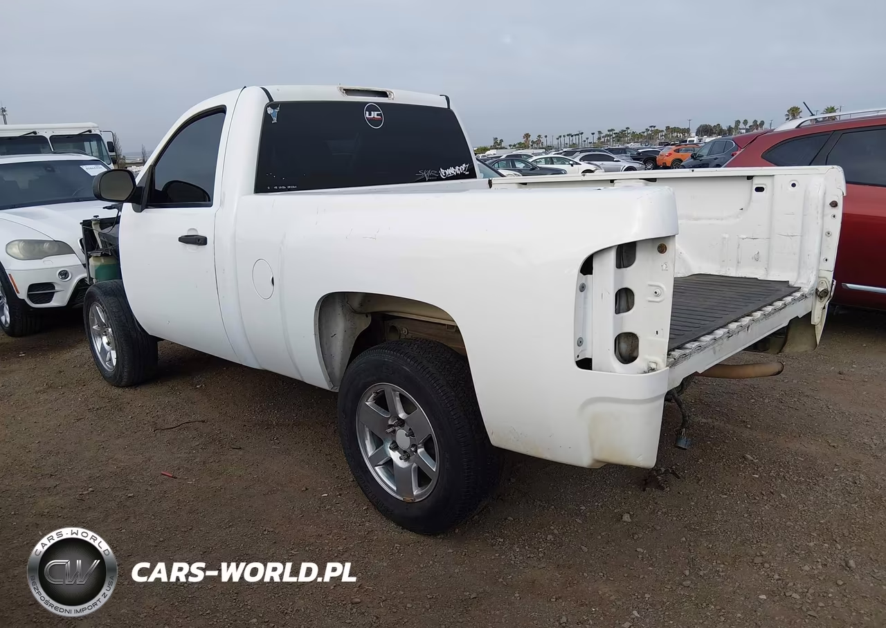 2010 Chevrolet Silverado 1500 Work Truck VIN:1GCPCPEX9AZ149184 - 3