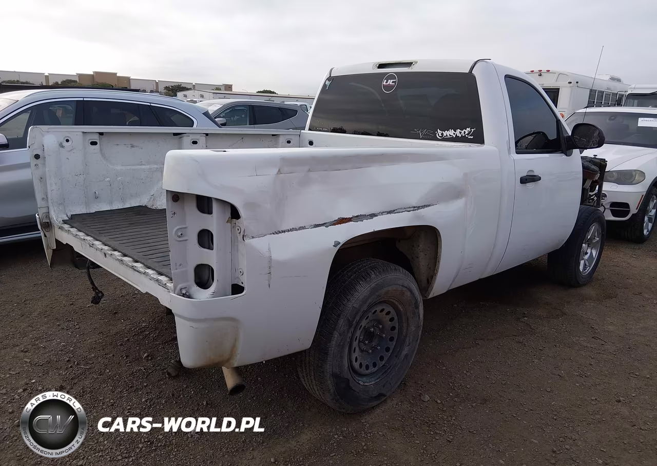 2010 Chevrolet Silverado 1500 Work Truck VIN:1GCPCPEX9AZ149184 - 4