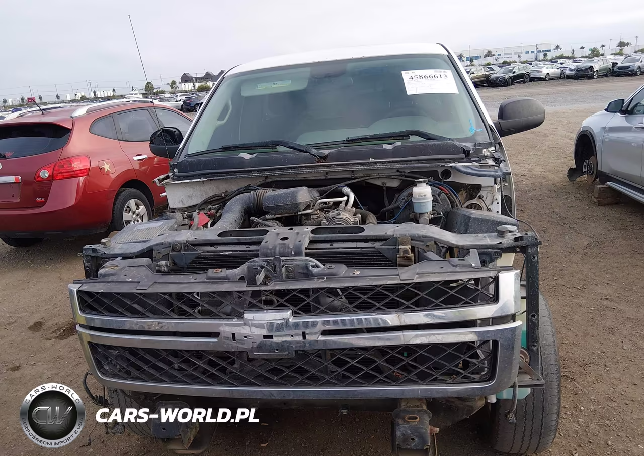 2010 Chevrolet Silverado 1500 Work Truck VIN:1GCPCPEX9AZ149184 - 6