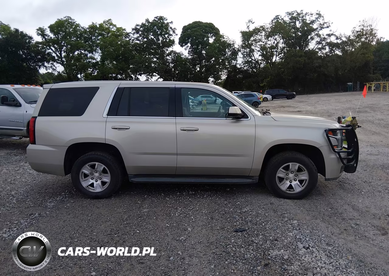 2017 Chevrolet Tahoe Commercial Fleet VIN:1GNLCDEC9HR232271 - 13