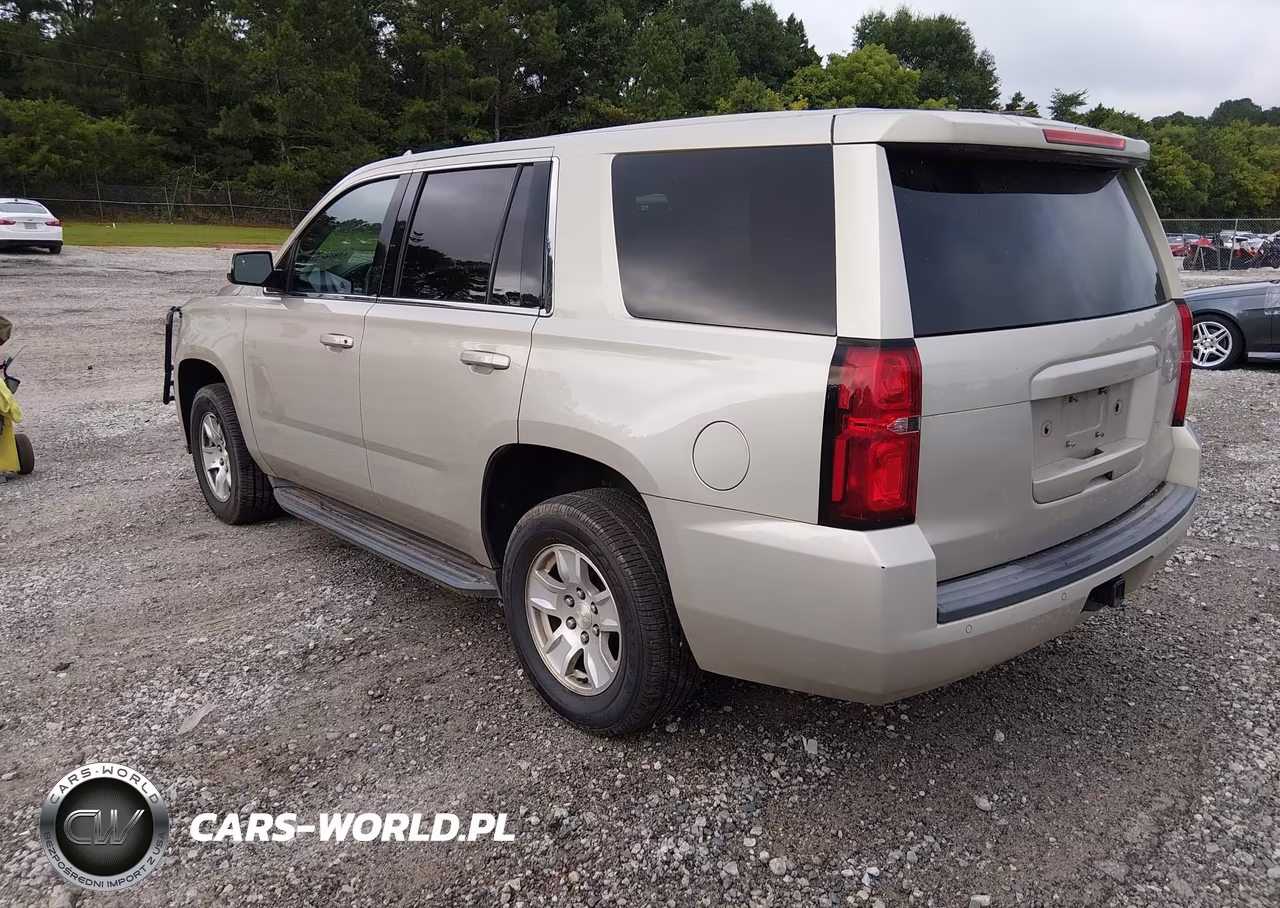2017 Chevrolet Tahoe Commercial Fleet VIN:1GNLCDEC9HR232271 - 3