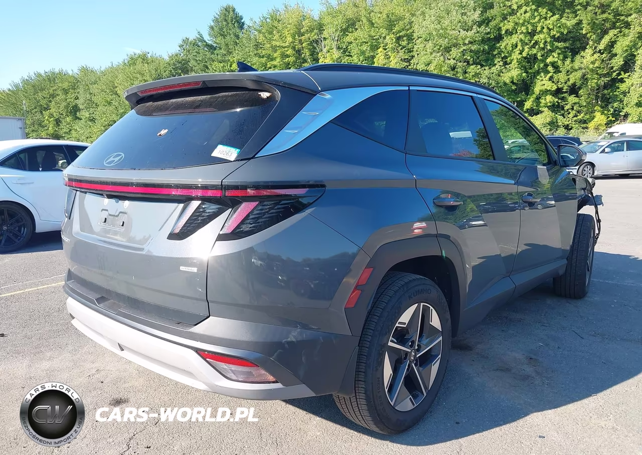 2025 Hyundai Tucson Sel Convenience VIN:5NMJCCDE4SH522703 - 4