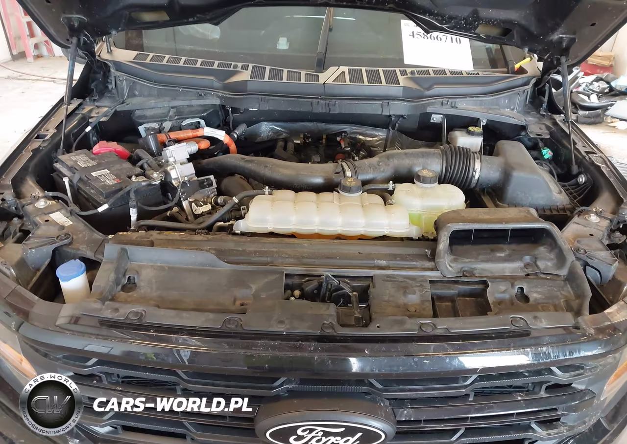 2024 Ford F-150 Xlt VIN:1FTFW3LDXRFC10172 - 10
