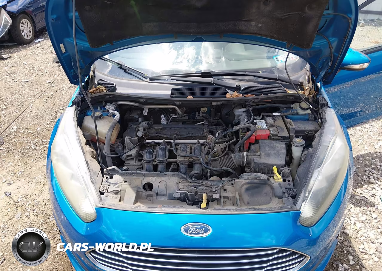 2016 Ford Fiesta Se VIN:3FADP4EJ8GM153373 - 10