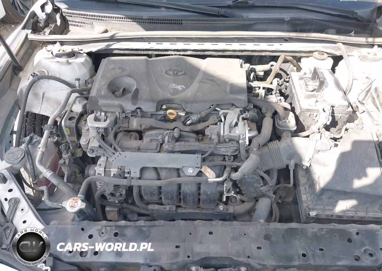 2020 Toyota Camry Le VIN:4T1C11AK8LU958456 - 10