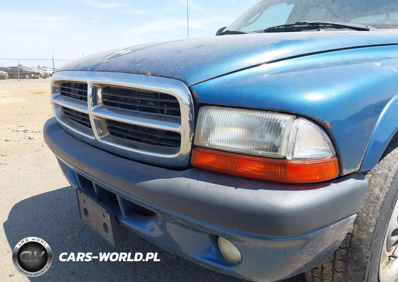 2003 Dodge Dakota Sport-Sxt VIN:1D7HL38X63S196313 - 6