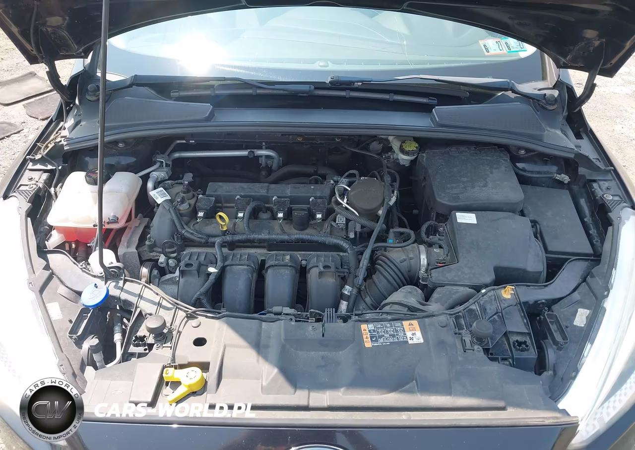 2016 Ford Focus Se VIN:1FADP3K28GL292203 - 10