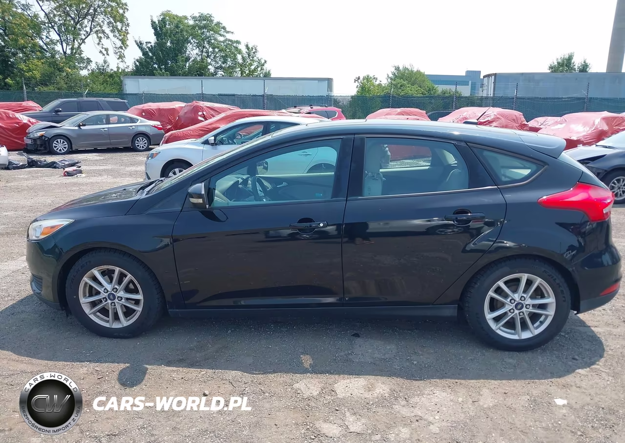 2016 Ford Focus Se VIN:1FADP3K28GL292203 - 14
