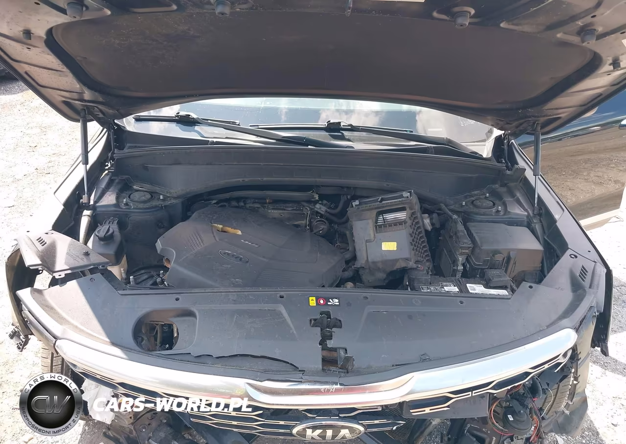 2020 Kia Telluride S VIN:5XYP64HC5LG026952 - 10