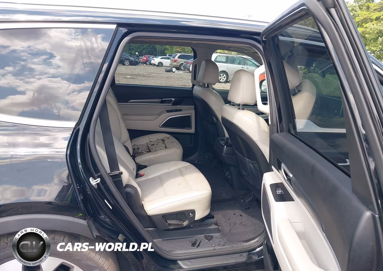 2020 Kia Telluride S VIN:5XYP64HC5LG026952 - 8
