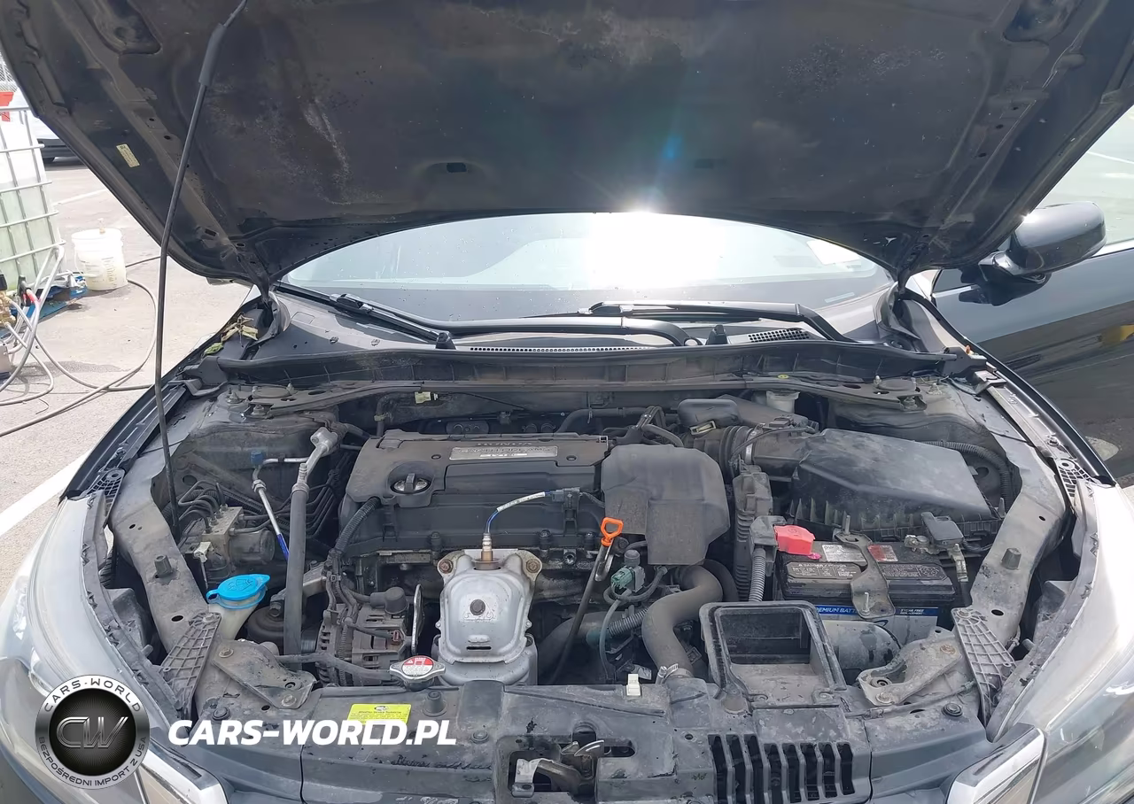 2013 Honda Accord Ex-L VIN:1HGCR2F87DA146179 - 10