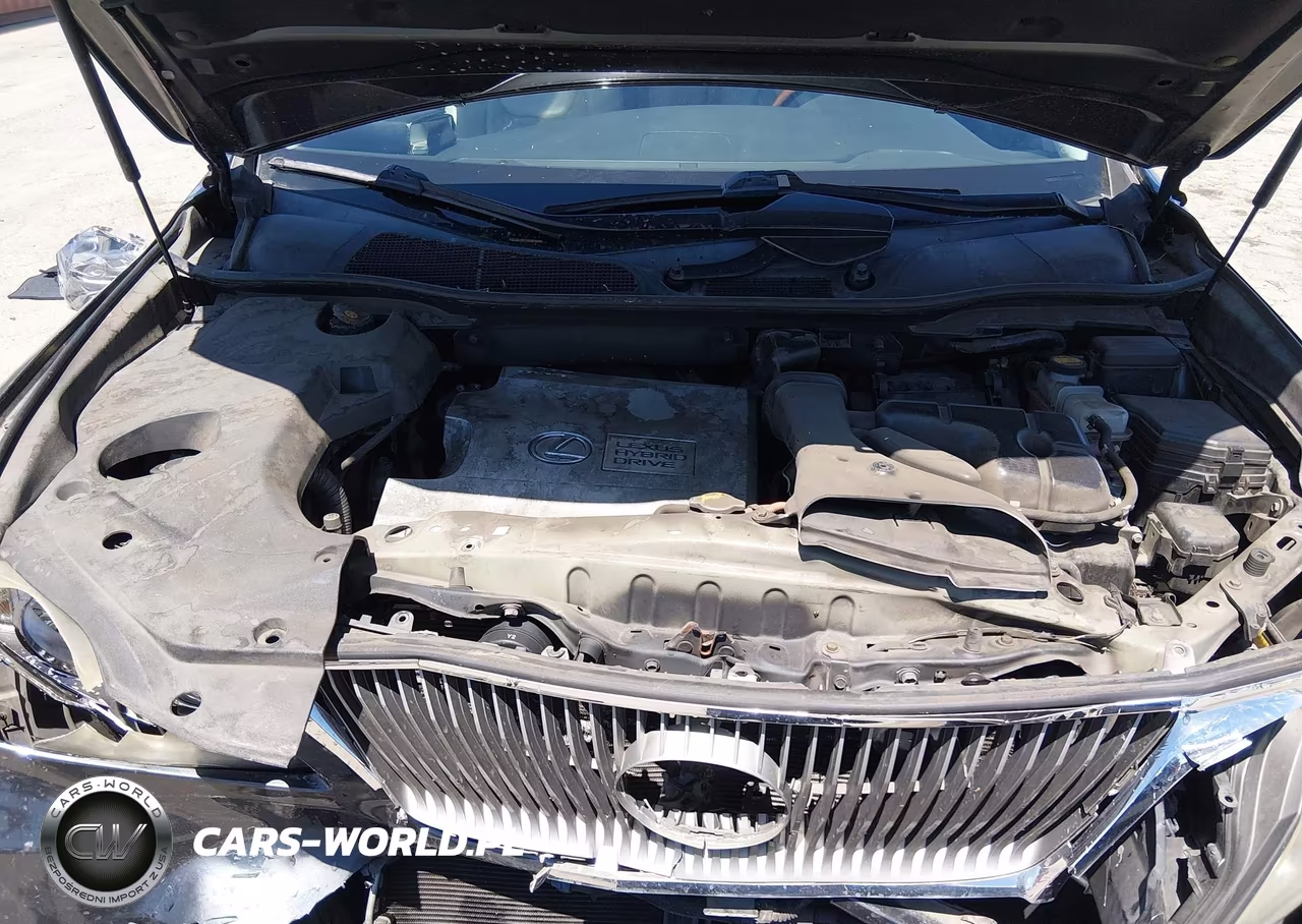 2010 Lexus Rx 450H VIN:JTJBC1BA3A2402433 - 10