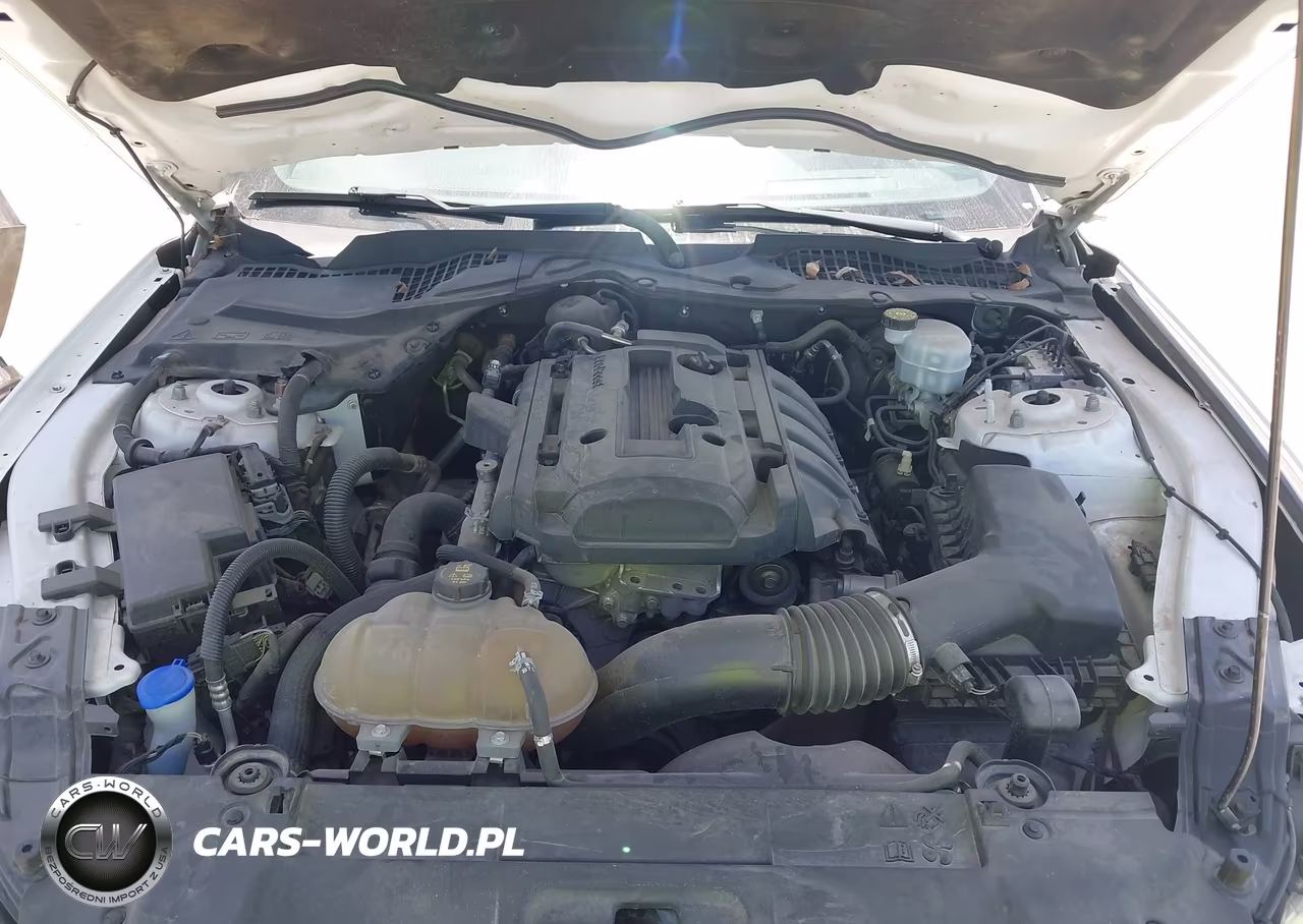 2020 Ford Mustang Ecoboost Fastback VIN:1FA6P8TH0L5124305 - 10