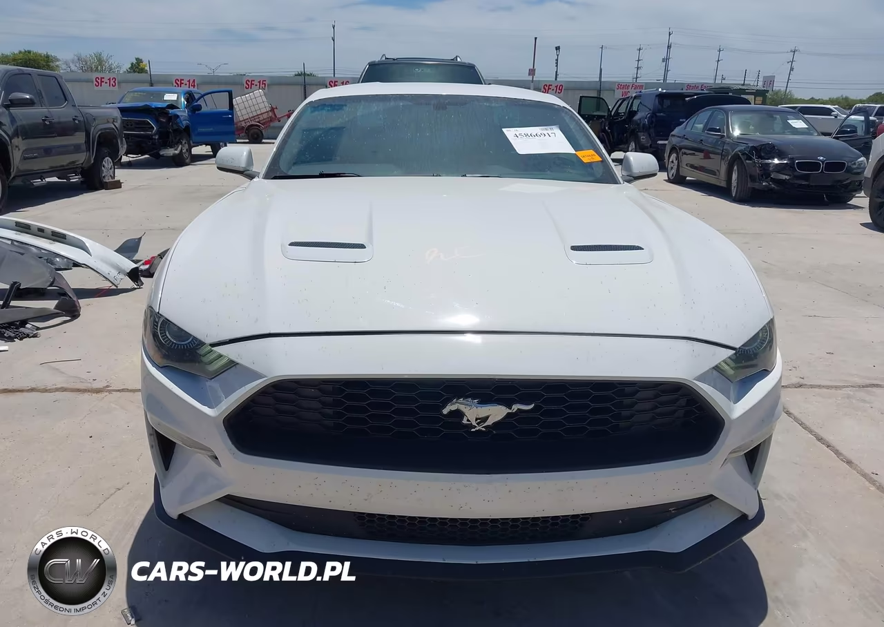2020 Ford Mustang Ecoboost Fastback VIN:1FA6P8TH0L5124305 - 13