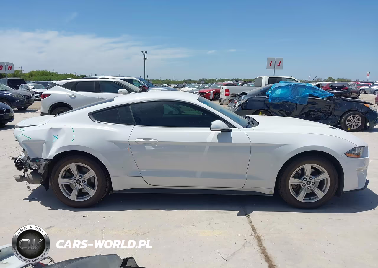 2020 Ford Mustang Ecoboost Fastback VIN:1FA6P8TH0L5124305 - 14