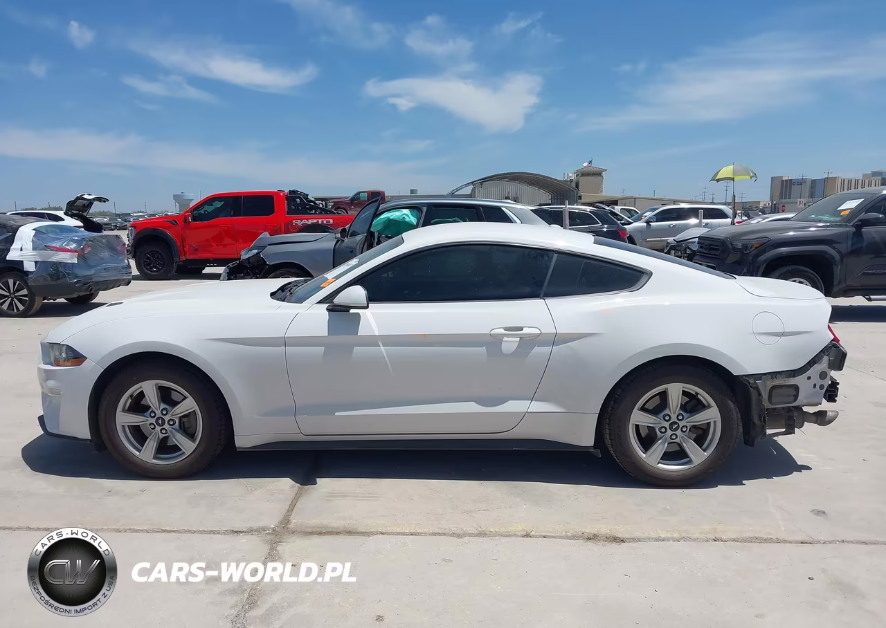 2020 Ford Mustang Ecoboost Fastback VIN:1FA6P8TH0L5124305 - 15