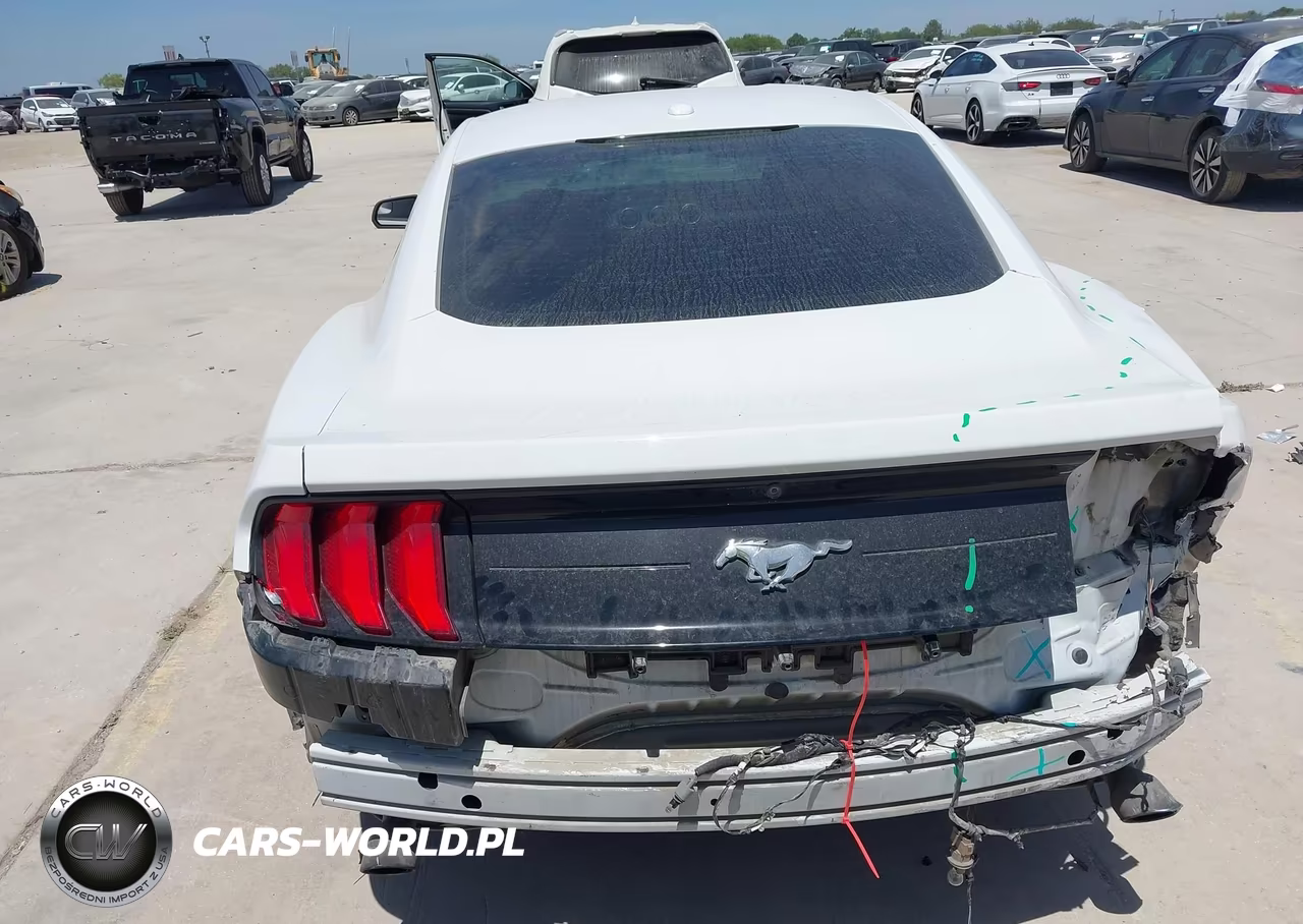 2020 Ford Mustang Ecoboost Fastback VIN:1FA6P8TH0L5124305 - 17
