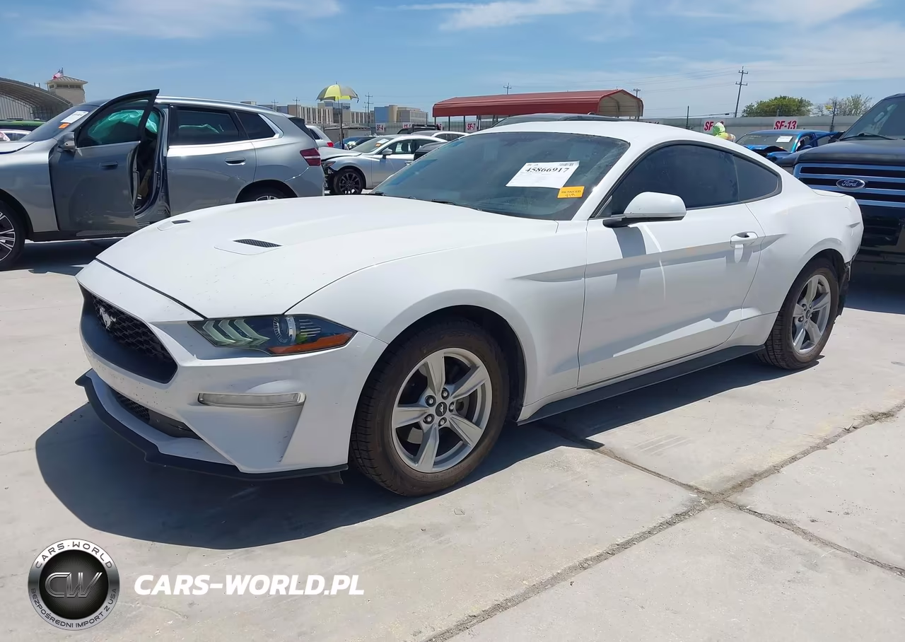 2020 Ford Mustang Ecoboost Fastback VIN:1FA6P8TH0L5124305 - 2