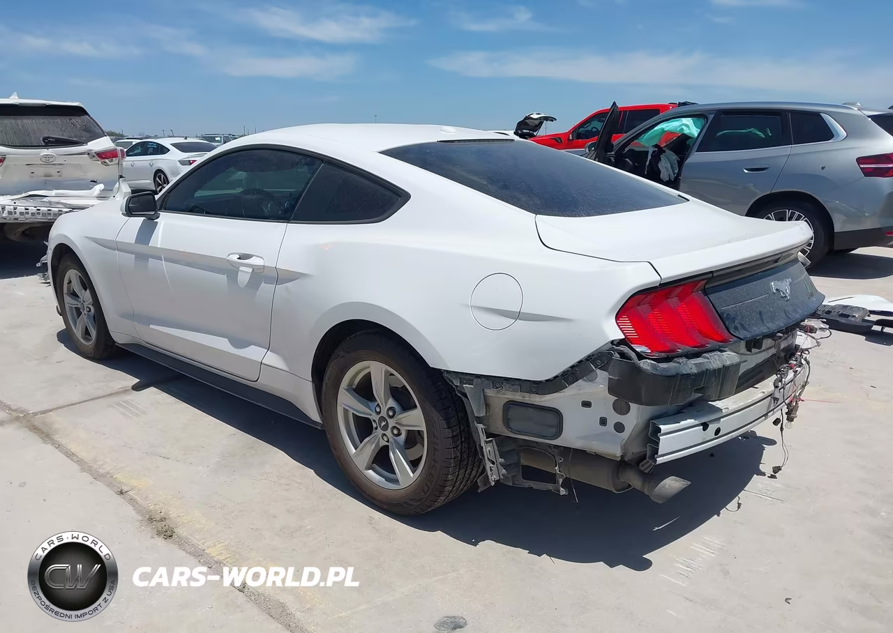 2020 Ford Mustang Ecoboost Fastback VIN:1FA6P8TH0L5124305 - 3