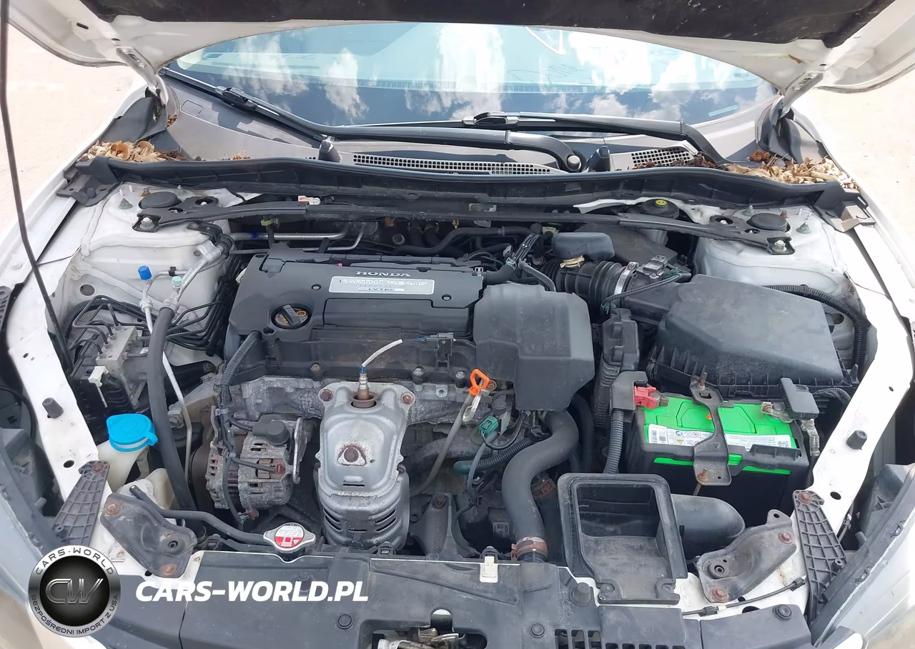 2013 Honda Accord Ex-L VIN:1HGCR2F81DA102193 - 10